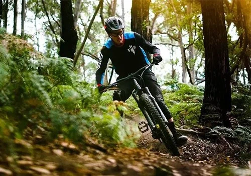 mountain bike3