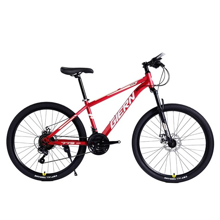 Hardtail Mountain Bike 26 Inch