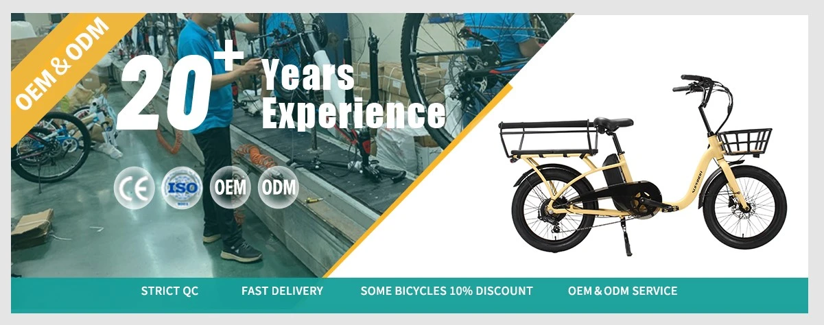 Cargo ebike Factory Cargo ebike Factory